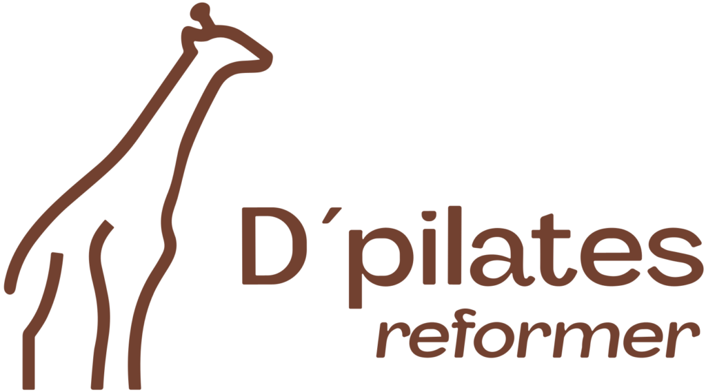 Dpilates Reformer
