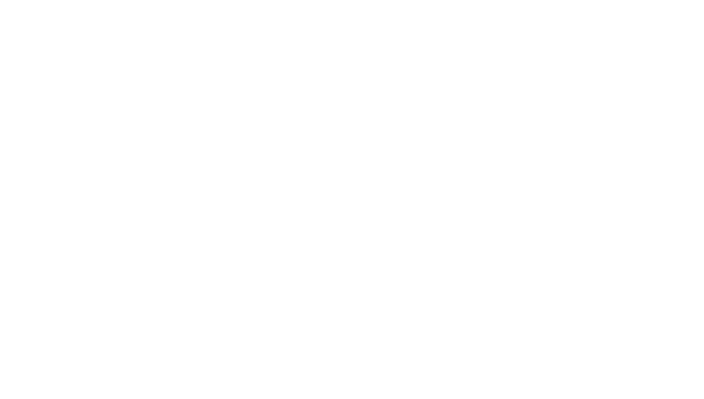 Dpilates Reformer